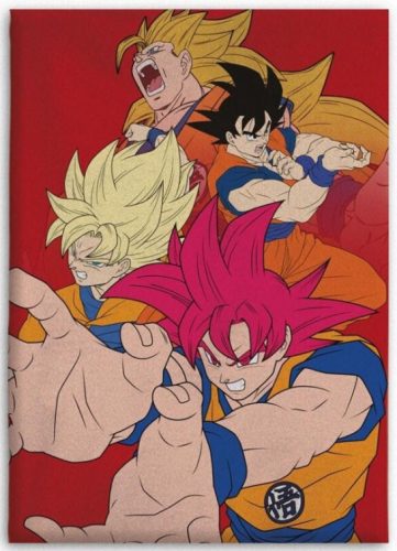 Dragon Ball Hues of Power coral fleece takaró 110x150cm